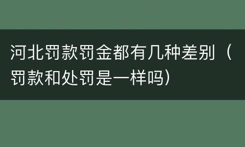 河北罚款罚金都有几种差别(罚款和处罚是一样吗)