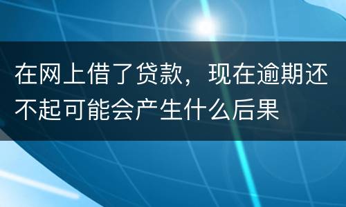 在网上借了贷款，现在逾期还不起可能会产生什么后果