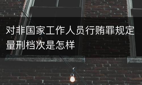 对非国家工作人员行贿罪规定量刑档次是怎样