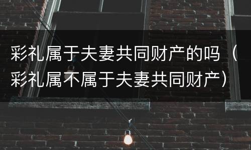 彩礼属于夫妻共同财产的吗（彩礼属不属于夫妻共同财产）