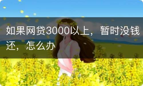 如果网贷3000以上，暂时没钱还，怎么办