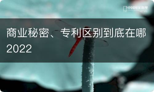 商业秘密、专利区别到底在哪2022