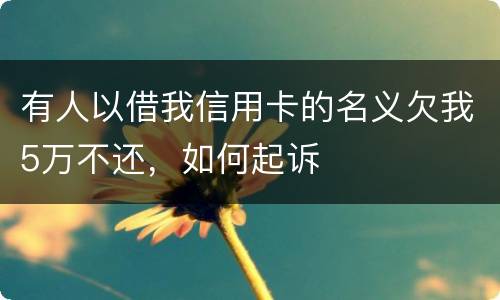 有人以借我信用卡的名义欠我5万不还，如何起诉