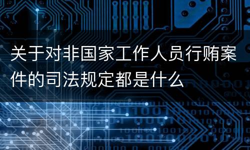 关于对非国家工作人员行贿案件的司法规定都是什么