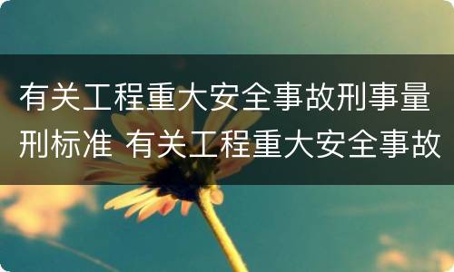 有关工程重大安全事故刑事量刑标准 有关工程重大安全事故刑事量刑标准的规定