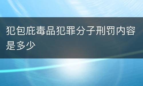 犯包庇毒品犯罪分子刑罚内容是多少