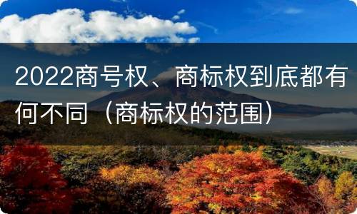 2022商号权、商标权到底都有何不同（商标权的范围）