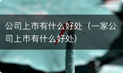 公司上市有什么好处（一家公司上市有什么好处）