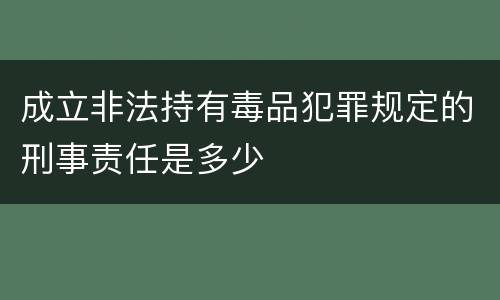 成立非法持有毒品犯罪规定的刑事责任是多少