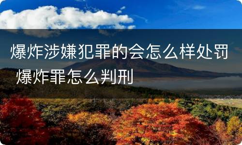 爆炸涉嫌犯罪的会怎么样处罚 爆炸罪怎么判刑