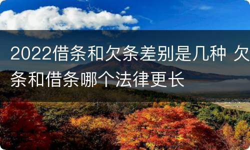 2022借条和欠条差别是几种 欠条和借条哪个法律更长