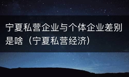 宁夏私营企业与个体企业差别是啥（宁夏私营经济）