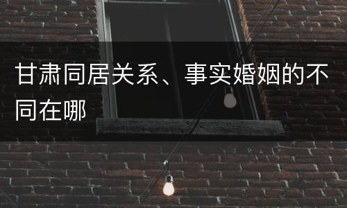 甘肃同居关系、事实婚姻的不同在哪