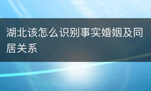 湖北该怎么识别事实婚姻及同居关系