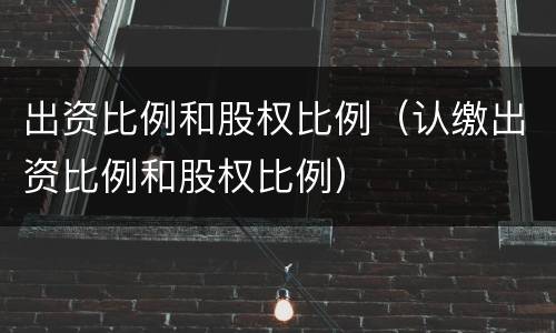 出资比例和股权比例（认缴出资比例和股权比例）