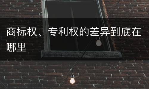 商标权、专利权的差异到底在哪里