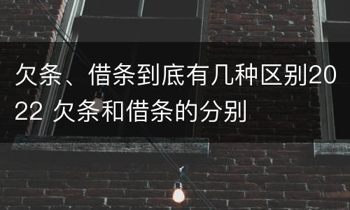 欠条、借条到底有几种区别2022 欠条和借条的分别