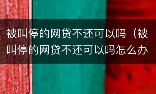 被叫停的网贷不还可以吗（被叫停的网贷不还可以吗怎么办）