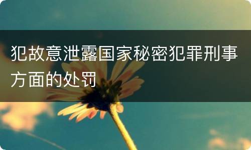 犯故意泄露国家秘密犯罪刑事方面的处罚