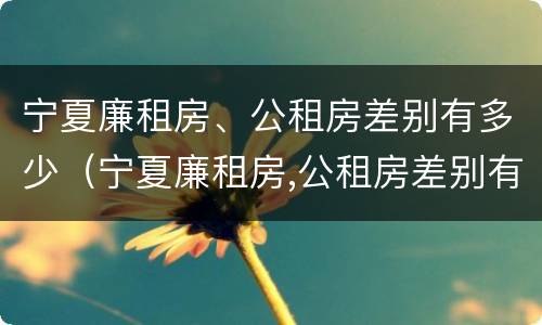 宁夏廉租房、公租房差别有多少（宁夏廉租房,公租房差别有多少年）