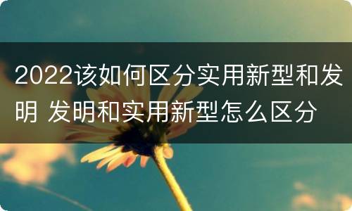 2022该如何区分实用新型和发明 发明和实用新型怎么区分