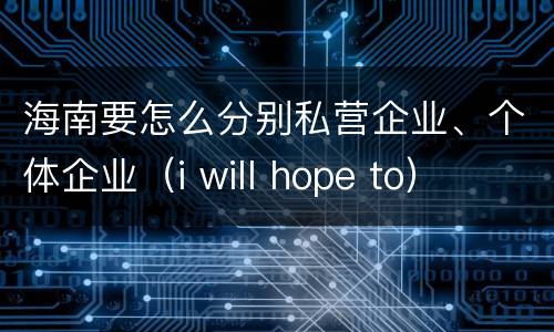 海南要怎么分别私营企业、个体企业（i will hope to）