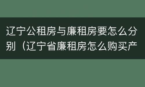 辽宁公租房与廉租房要怎么分别（辽宁省廉租房怎么购买产权）