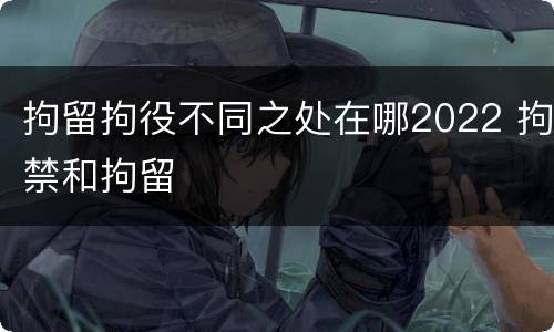 拘留拘役不同之处在哪2022 拘禁和拘留
