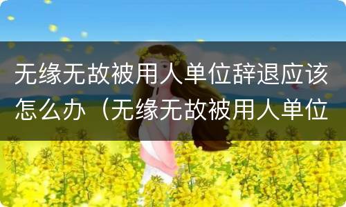 无缘无故被用人单位辞退应该怎么办（无缘无故被用人单位辞退应该怎么办呢）