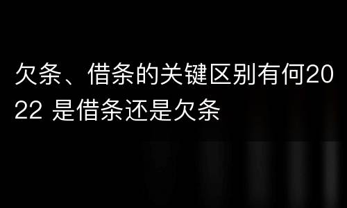 欠条、借条的关键区别有何2022 是借条还是欠条
