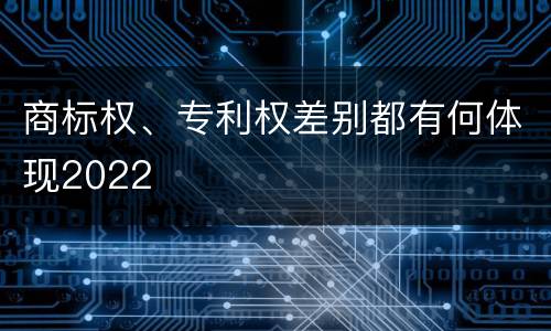 商标权、专利权差别都有何体现2022