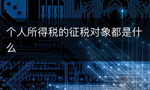 个人所得税的征税对象都是什么