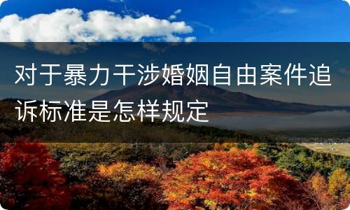 对于暴力干涉婚姻自由案件追诉标准是怎样规定