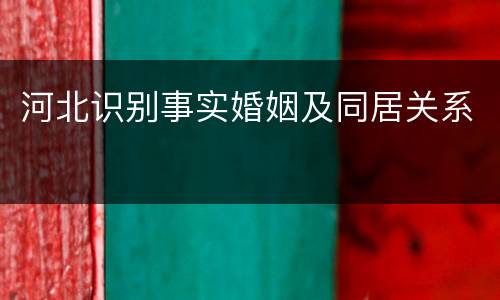 河北识别事实婚姻及同居关系