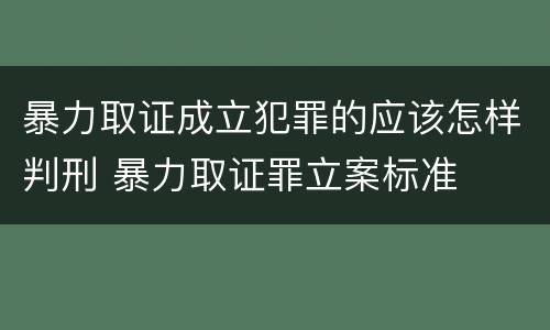 暴力取证成立犯罪的应该怎样判刑 暴力取证罪立案标准