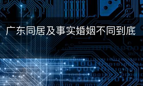 广东同居及事实婚姻不同到底
