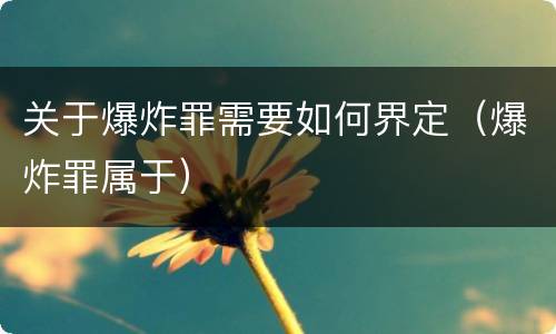 关于爆炸罪需要如何界定（爆炸罪属于）