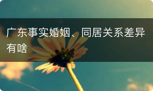 广东事实婚姻、同居关系差异有啥
