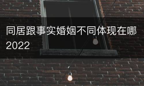 同居跟事实婚姻不同体现在哪2022