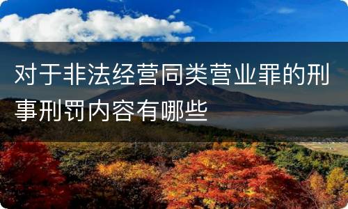 对于非法经营同类营业罪的刑事刑罚内容有哪些