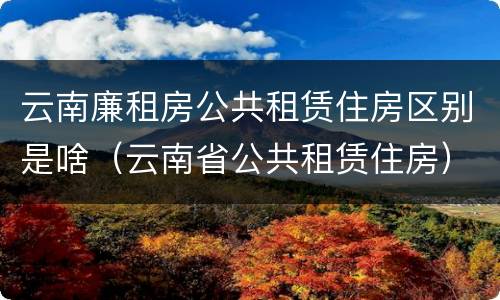 云南廉租房公共租赁住房区别是啥（云南省公共租赁住房）