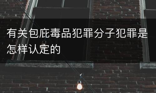 有关包庇毒品犯罪分子犯罪是怎样认定的