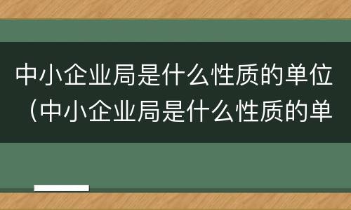中小企业局是什么性质的单位（中小企业局是什么性质的单位类型）