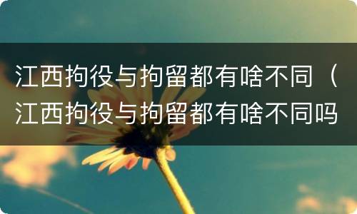 江西拘役与拘留都有啥不同（江西拘役与拘留都有啥不同吗）