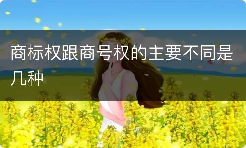 商标权跟商号权的主要不同是几种