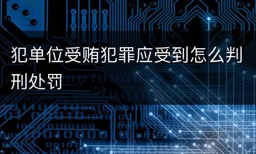 犯单位受贿犯罪应受到怎么判刑处罚