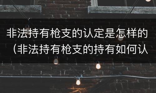 非法持有枪支的认定是怎样的（非法持有枪支的持有如何认定）