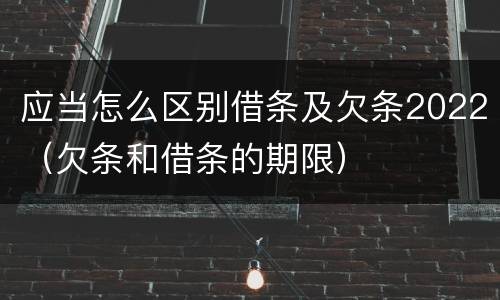 应当怎么区别借条及欠条2022（欠条和借条的期限）