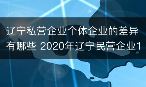 辽宁私营企业个体企业的差异有哪些 2020年辽宁民营企业100强