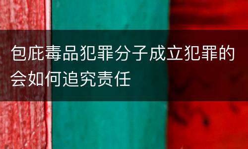 包庇毒品犯罪分子成立犯罪的会如何追究责任